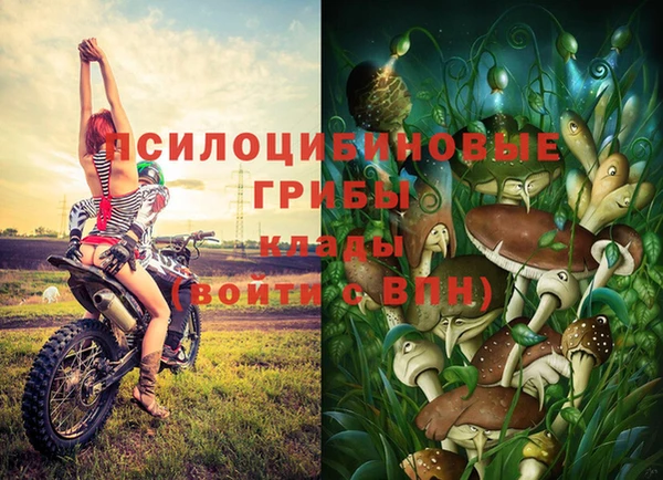 спайс Аркадак