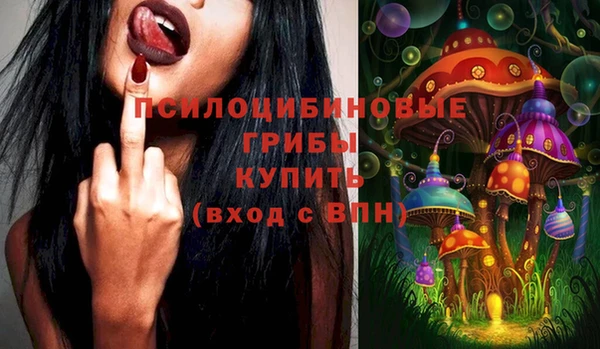 герыч Арсеньев