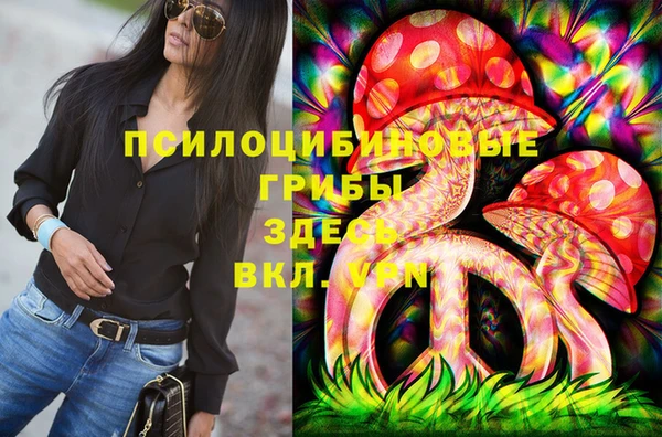 герыч Арсеньев