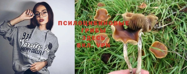 спайс Аркадак
