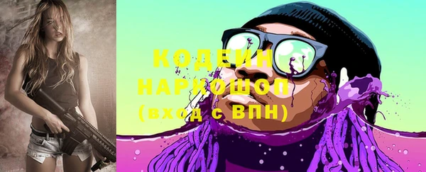 шишки Осташков